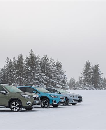 SUBARU-RANGE-12